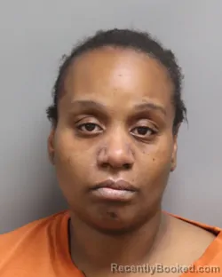 Mugshot of DEIDRA LATOYA SANDERS booked in Dorchester County, South Carolina on July 4, 2026