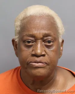 Mugshot of PATRICIA W HAYNES booked in Dorchester County, South Carolina on July 4, 2026
