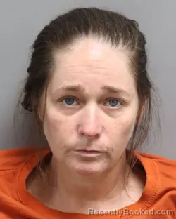 Mugshot of JAMIE JOLINE HASKINS booked in Dorchester County, South Carolina on July 4, 2026