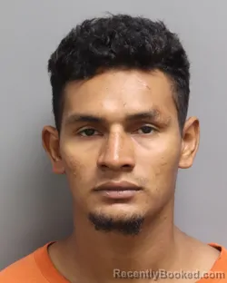 Mugshot of EDGARDO E VELIZ-ALFARO booked in Dorchester County, South Carolina on July 5, 2026
