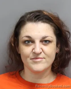 Mugshot of LISA RENEE DANIELS booked in Dorchester County, South Carolina on July 5, 2026