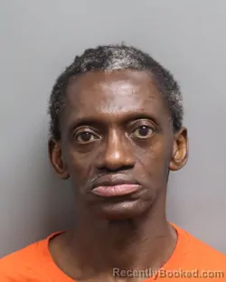 Mugshot of RONNIE LEONARD PERRY booked in Dorchester County, South Carolina on July 6, 2026