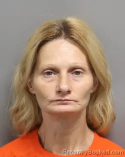 Mugshot of SHANNON RENA HARTLEY booked in Dorchester County, South Carolina on July 8, 2026