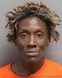 Mugshot of TAMMY RENEE NEALS booked in Dorchester County, South Carolina on July 9, 2026