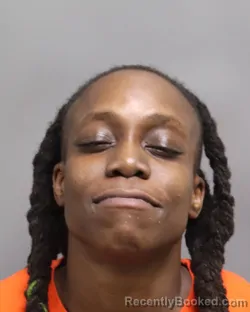 Mugshot of FELICIA ASHTON KINLOCK booked in Dorchester County, South Carolina on July 12, 2026