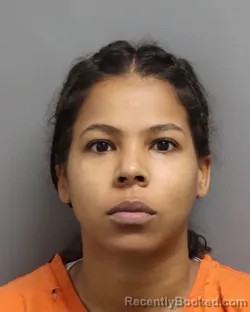 Mugshot of ARIANNA ESMERALDA RIVERA CHISOLM booked in Dorchester County, South Carolina on July 12, 2026