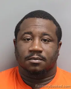 Mugshot of JAMELLE RAYNARD BROWN booked in Dorchester County, South Carolina on July 13, 2026