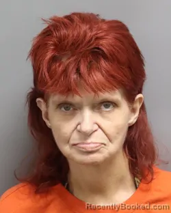 Mugshot of CAROLYN ANN WELCH booked in Dorchester County, South Carolina on July 13, 2026
