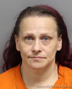 Mugshot of JULIE ELLA JACQUES booked in Dorchester County, South Carolina on July 13, 2026