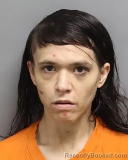 Mugshot of JESSICA GARCIA booked in Dorchester County, South Carolina on July 14, 2026