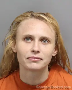 Mugshot of SUSAN LYNN SMITH booked in Dorchester County, South Carolina on July 16, 2026