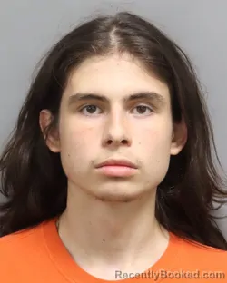 Mugshot of JAYDEN TYLER GEE booked in Dorchester County, South Carolina on August 6, 2026