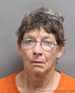 Mugshot of Jennifer Lynn Young booked in Dorchester County, South Carolina on August 18, 2026