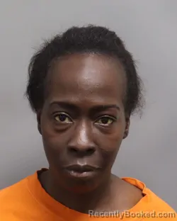 Mugshot of Kimberly Renee Brown booked in Dorchester County, South Carolina on August 19, 2026
