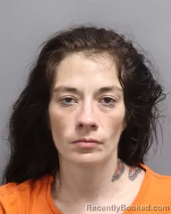 Mugshot of Taylor Renee Hallman booked in Dorchester County, South Carolina on August 22, 2026