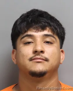 Mugshot of Josue Emmanuel Cedillo-Alvarez booked in Dorchester County, South Carolina on August 24, 2026
