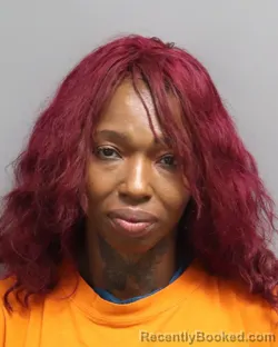 Mugshot of Blondell Sinetra Williams booked in Dorchester County, South Carolina on August 26, 2026