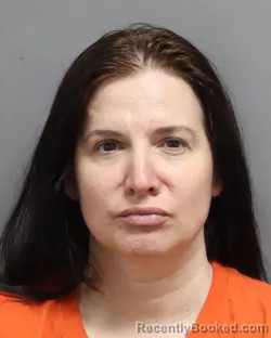 Mugshot of Mindy L Steele booked in Dorchester County, South Carolina on August 28, 2026