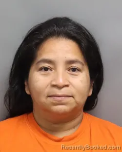 Mugshot of Josefina Coy Alegria booked in Dorchester County, South Carolina on August 28, 2026