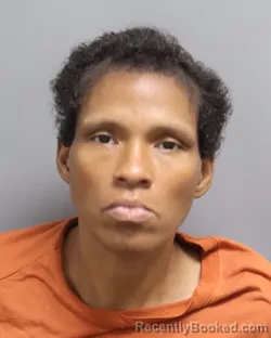 Mugshot of Maggie Danielle Emmons booked in Dorchester County, South Carolina on September 1, 2026