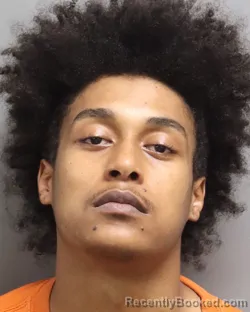 Mugshot of Jashawn Lamont Moore Nelums booked in Dorchester County, South Carolina on September 1, 2026