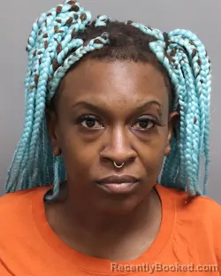 Mugshot of Salita Ieca Cain booked in Dorchester County, South Carolina on September 3, 2026
