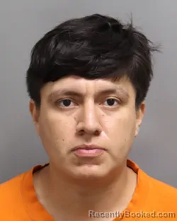 Mugshot of Daniel Villafuerte Flores booked in Dorchester County, South Carolina on September 8, 2026