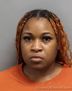 Mugshot of Angelica Roach booked in Dorchester County, South Carolina on September 10, 2026