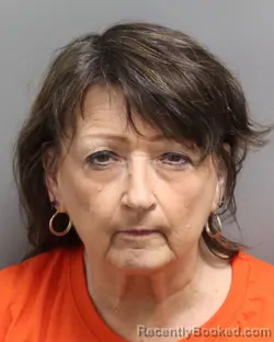Mugshot of Theresa Raynor Owens booked in Dorchester County, South Carolina on September 14, 2026