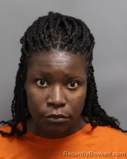 Mugshot of Kayna Nlese Ravenell booked in Dorchester County, South Carolina on September 30, 2026