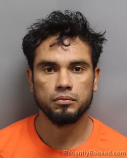 Mugshot of Milton J Godoy-Linares booked in Dorchester County, South Carolina on October 3, 2026