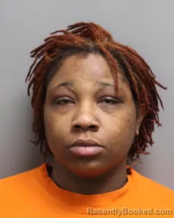Mugshot of Lachelle Nicole Brown booked in Dorchester County, South Carolina on October 6, 2026