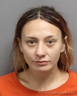 Mugshot of Taylor Marlane Whitlock booked in Dorchester County, South Carolina on October 7, 2026