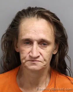 Mugshot of Crystal Nicole Davenport booked in Dorchester County, South Carolina on October 11, 2026