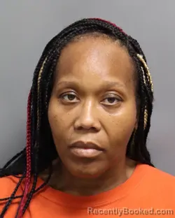 Mugshot of Lashayla Tynese Williams booked in Dorchester County, South Carolina on October 15, 2026
