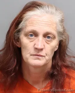 Mugshot of Summer Shawntel Owans booked in Dorchester County, South Carolina on October 16, 2026