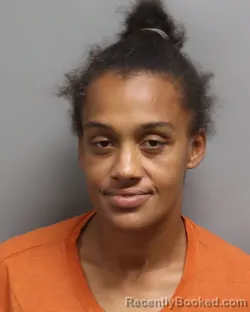 Mugshot of Colleen Marie Gardner booked in Dorchester County, South Carolina on October 22, 2026