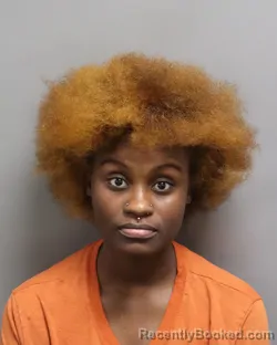 Mugshot of Elyeshia Simmons booked in Dorchester County, South Carolina on October 24, 2026