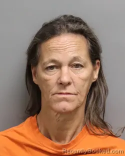 Mugshot of Phyllis Diane Spain booked in Dorchester County, South Carolina on October 25, 2026