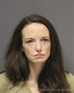 Mugshot of LEEANN MARIE TURNER