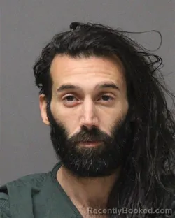 Mugshot of DANIEL EVAN MEADOWS