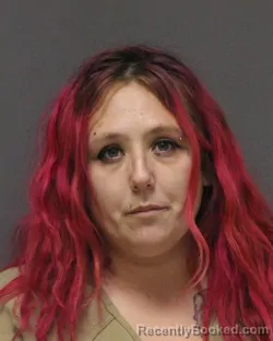 Mugshot of NICOLE LYNN SCHWEFRINGHAUS
