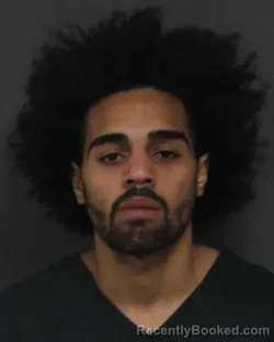 Mugshot of ERIK YABILL TORRES