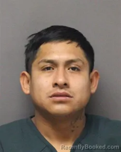 Mugshot of SERGIO HERNANDEZ