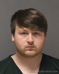 Mugshot of LIAM DRISTEN FELLOWS