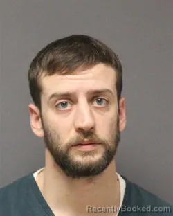 Mugshot of NICHOLAS PETROZELLI