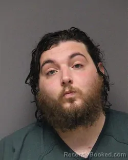 Mugshot of STEVEN J LANDESBERG