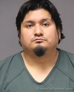 Mugshot of DAVID FALFANDIAZ