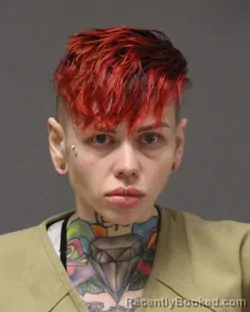 Mugshot of KIMBERLEA MILES THEBERGE