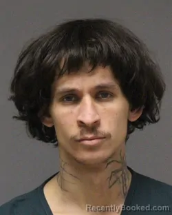 Mugshot of DOMINIC ANTHONY JOA